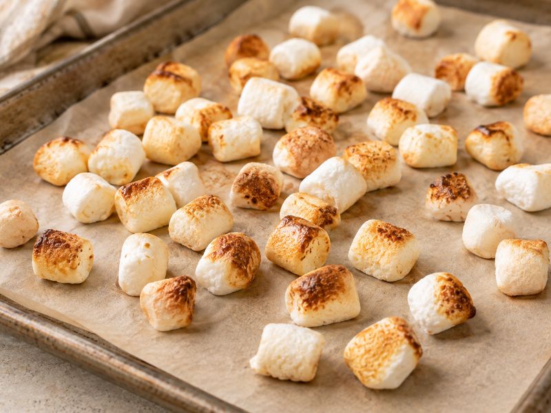Toasted mini marshmallows for marshmallow ice cream