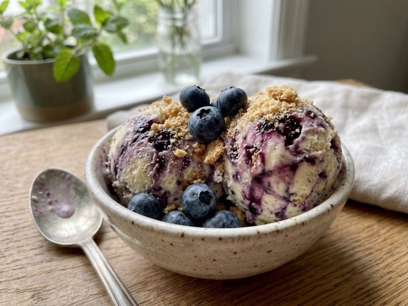 Blueberry cheesecake ice cream served with fresh blueberries and graham cracker crumbs